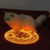 speedaru avatar