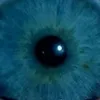 Черешня avatar