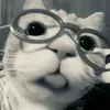 calvin avatar