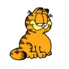 Typischer Kater avatar