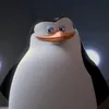 Skipper avatar