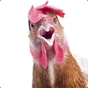 Kneppeknud avatar