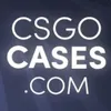 NK CS2-CASES.COM CSGOSKINS avatar