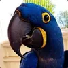 MARINKA BEZOTKAZNAYA avatar