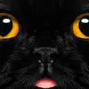 _AKRU_ avatar