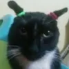 󠁳No name avatar