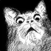 Lairi avatar