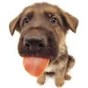 Bingle avatar