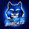 GlitteryBobcatz avatar
