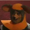 DHR avatar