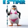 ElStripper avatar