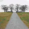 eternalshrine avatar