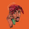 ShajiK avatar