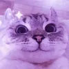 usernet avatar