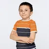 Oblivitus avatar