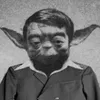 gold avatar