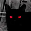 #bzqyn avatar