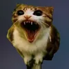 BEZ_TPYCUKOB? avatar