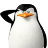 Skipper avatar