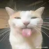 [$ZOCSKA]_Voliii avatar