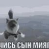 самолет avatar