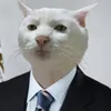 imposter avatar
