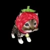 butt avatar