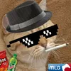 derv1sh avatar