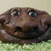 Кислотный кал avatar