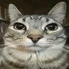 Бeб avatar
