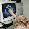 Ｌａａｍｖ avatar