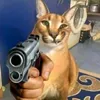 FloppaOnMe avatar