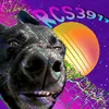 rcs3911 avatar