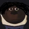 chsstt avatar