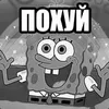 Fantom_RUF avatar