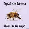 #Bestrust Рыночный Ай avatar