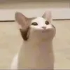 тянка крола avatar