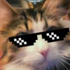 Anders avatar