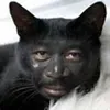 < blank > avatar