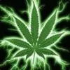 slotty311 avatar