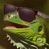 Zoya Temirbulatov avatar
