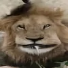 Voky avatar