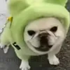 skyjacob avatar