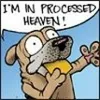 Ska avatar