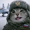 Кот_Дебил avatar