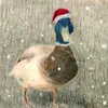BudakNiantic avatar