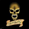 BjerrinG avatar