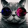 tokuchin avatar