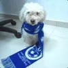 Ldr avatar
