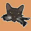 44night avatar